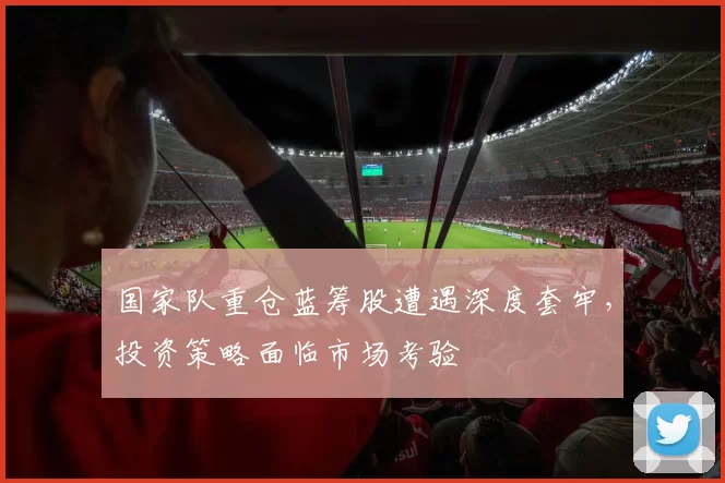 国家队重仓蓝筹股遭遇深度套牢，投资策略面临市场考验