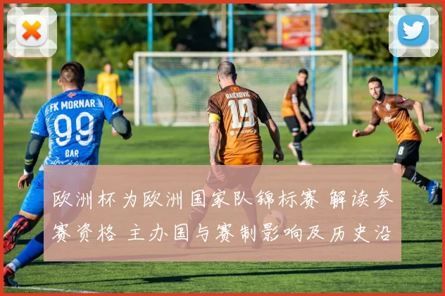 欧洲杯为欧洲国家队锦标赛 解读参赛资格 主办国与赛制影响及历史沿革